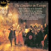 Flute Concerto in C Major: I. Allegro artwork