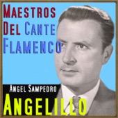 Maestros del Cante Flamenco artwork