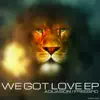 Stream & download We Got Love - Single