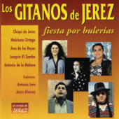 Los Gitanos de Jerez: Fiesta por Bulerías - Artisti Vari