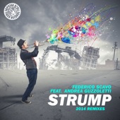 Strump 2014 (feat. Andrea Guzzoletti) artwork