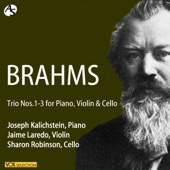 Brahms: Trio No. 1 for Piano, Violin & Cello artwork