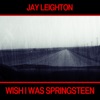 Wish I Was Springsteen - Single