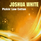 Pickin' Low Cotton artwork