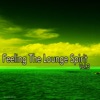Feeling the Lounge Spirit, Vol. 3, 2013