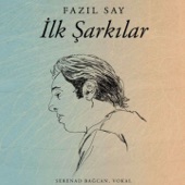 Akılla Bir Konuşmam Oldu (feat. Serenad Bağcan) artwork