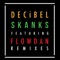 Skanks (Lol Gurlz Remix) [feat. Flowdan] - DECiBEL lyrics