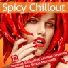 Spicy Chillout (22 Sensual Seductive Lounge Grooves for Erotic Moments), 2013