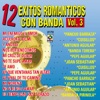 12 Exitos Romanticos Vol. 3