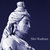 Shri Rudram: A Sacred Vedic Hymn for Purification, Blessings and Upliftment - Vidura Barrios & Musica para Meditacion Profunda