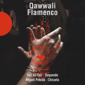 Qawwali Flamenco (Live) artwork
