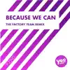 Stream & download Because We Can (The Factory Team Remix) - Single