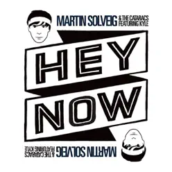 Hey Now (feat. Kyle) - Single - Martin Solveig
