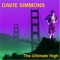 Halcyon Days (feat. Andy Camp & Esa Lehti) - David Simmons lyrics