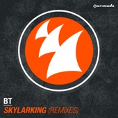 Skylarking (Remixes) - Single artwork