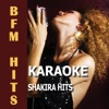 Karaoke Shakira Hits