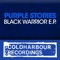 Room 13 - Purple Stories lyrics