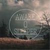 Awake O Sleeper