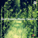 Schubert: Der Lindenbaum - Nature Classic
