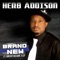 Another Chance (feat. Chester D.T. Baldwin) - Herb Addison lyrics