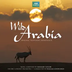 Wild Arabia - BBC Concert Orchestra Wild Arabia - BBC Concert Orchestra