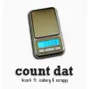 Count Dat (feat. Lil Scrappy & Iceberg) - Single album lyrics, reviews, download