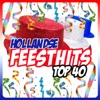 Hollandse Feesthits Top 40, 2013