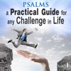 Psalms a Practical Guide for Any Challenge in Life, Vol. 1