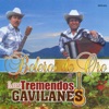 Boleros De Oro