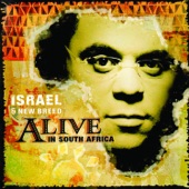 Alive In South Africa artwork