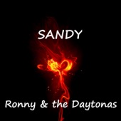 Ronny & the Daytonas - Sandy