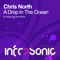 A Drop in the Ocean (Braiman & Falcon Remix) - Chris North lyrics
