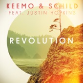 Revolution (Remixes) [feat. Justin Hopkins] artwork