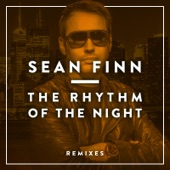 The Rhythm of the Night - Remixes artwork
