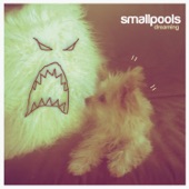 Smallpools - Dreaming