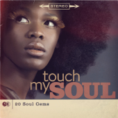 Touch My Soul - 20 Soul Gems - Verschiedene Interpreten
