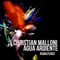 Agua Ardiente (Loko Remix) - Christian Malloni lyrics