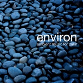 Environ: Ambient Music for Calm - EP artwork