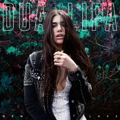 New Love - Single - Dua Lipa New Love - Single - Dua Lipa