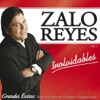Un Ramito De Violetas by Zalo Reyes iTunes Track 2