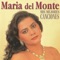 Una Historia en el Camino - María del Monte lyrics