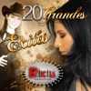 20 Grandes Éxitos