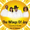 The Wings of Joy (feat. J1 Robinson)