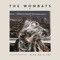 Give Me a Try (Don Diablo Remix) - The Wombats lyrics