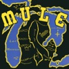 Mule