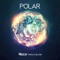 Polar - Steerner, Blume & Wholm lyrics