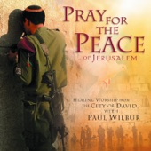 Pray For the Peace of Jerusalem artwork