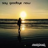 Say Goodbye Now - EP