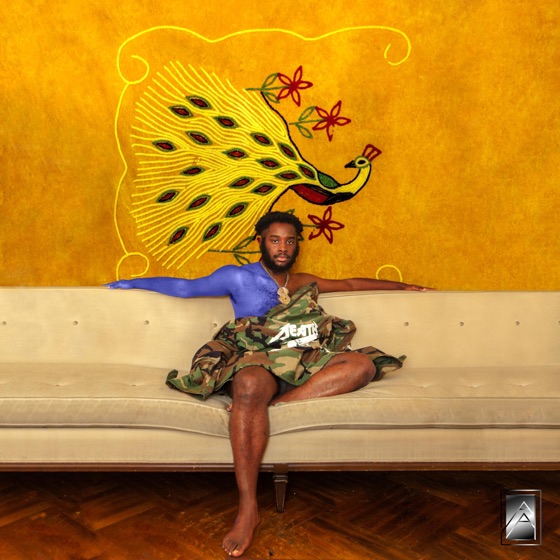 Cover artwork for Did Dat