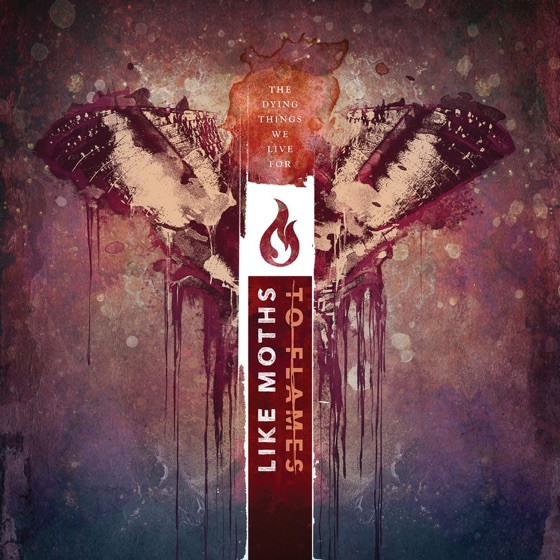 Cover artwork for Wither